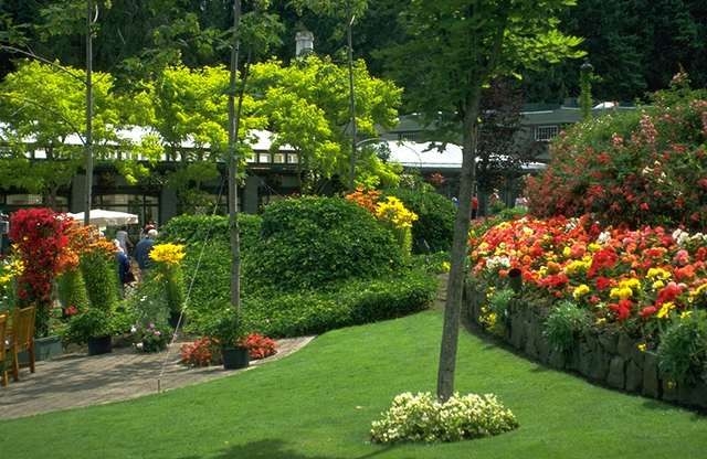 restaurants, spa, gym, swimming pool, conference room