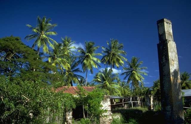 - Gardens, - Landscaping, - Outdoor spaces, - Park-like setting, - Well-maintained grounds
