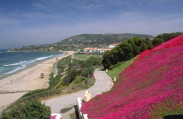 - Private events, Luxury experiences, Personalized services, Premium hospitality, Concierge assistance