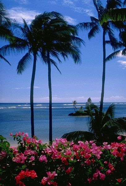 Luxury, Retreat, The Liming, Vacation, Exclusive