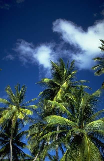 - Private Beach Access, beach, private, exclusive, luxury