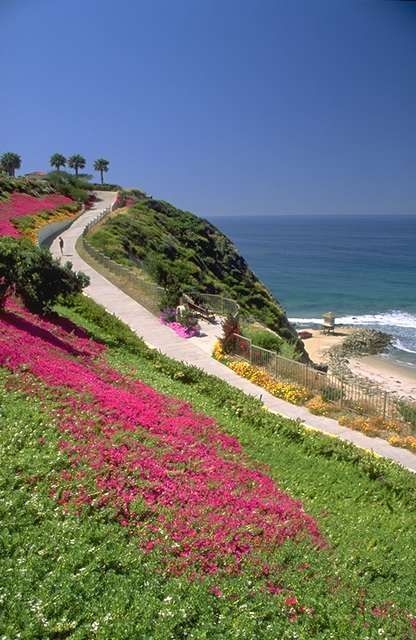 - Boutique Hotel, Luxury Accommodation, Fine Dining Restaurant, Spa Services, Ocean Views