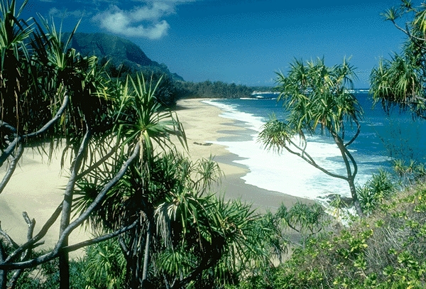 luxury, hotel, amenities, travel, relaxation
