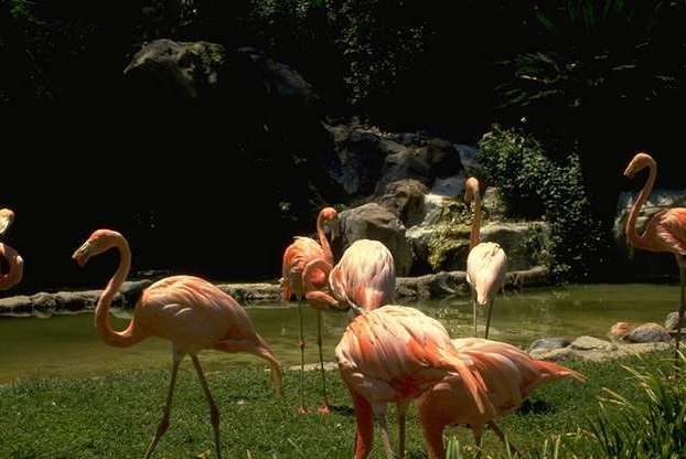 Luxury, Cayos Cochinos, Hotel, Travel, Relaxation